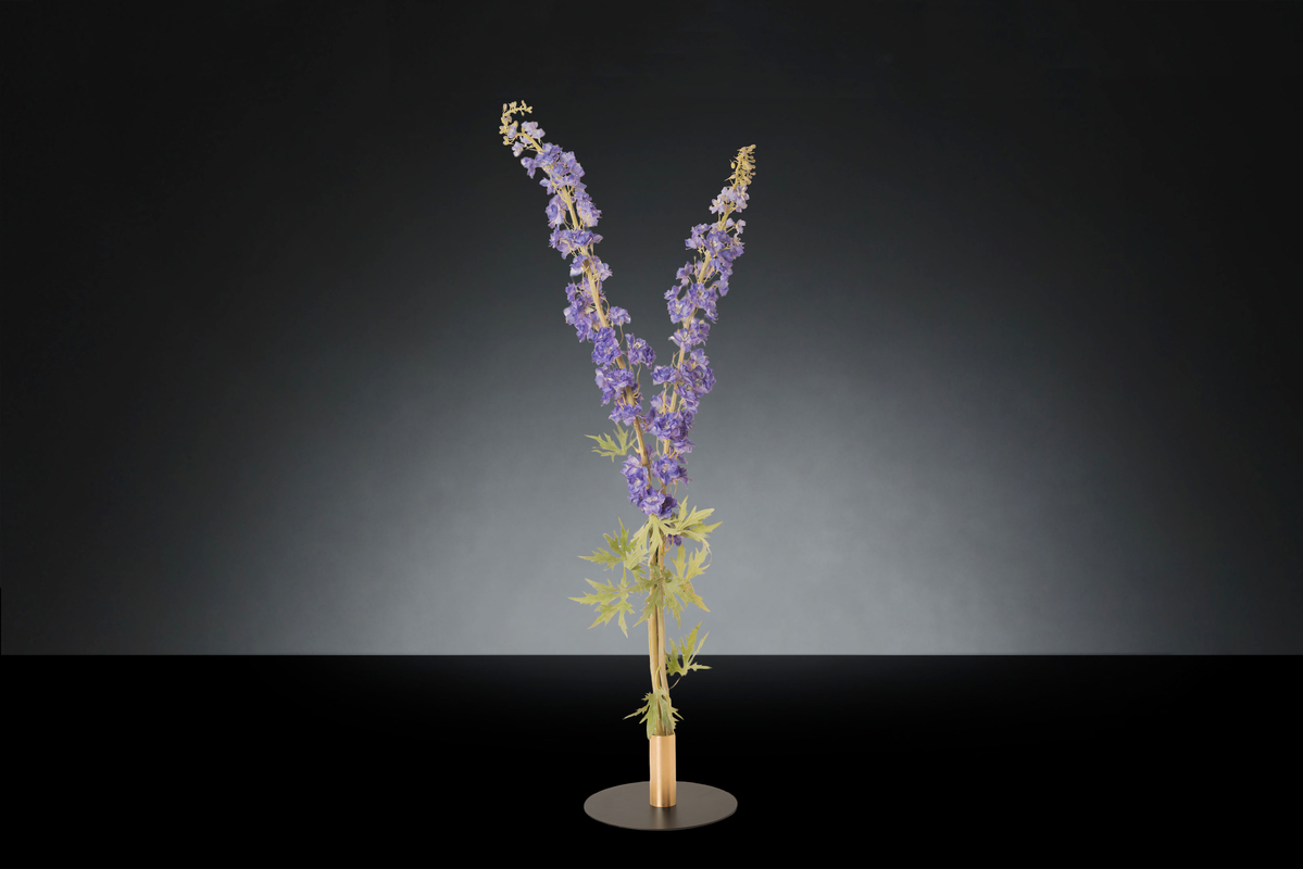 1700222245-1142952.96 DELPHINIUM_2LOW